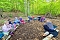 Waldprojekt im Kindergarten Waldprojekt im Kindergarten