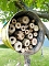 Bienenhotel mit angeschlossener Wiese