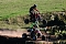 Motorcross in Hamma