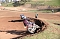 Motorcross in Hamma
