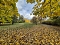 Der Herbst im Park Der Herbst im Park
