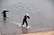 Triathlon 2010