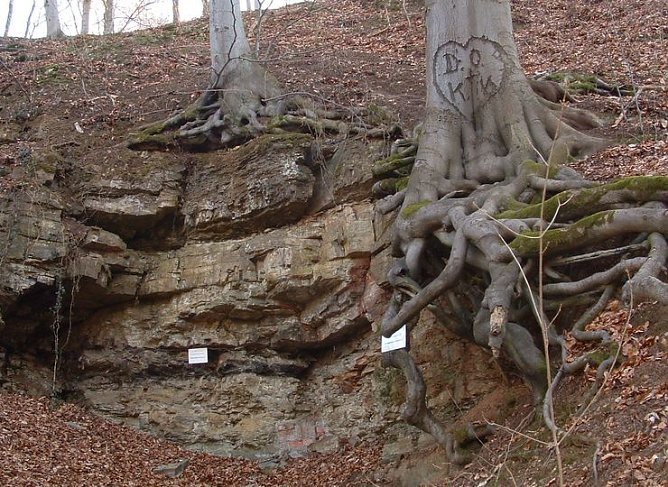 Mehr als nur Bergbau - die Lange Wand (Foto: privat) Mehr als nur Bergbau - die Lange Wand (Foto: privat)