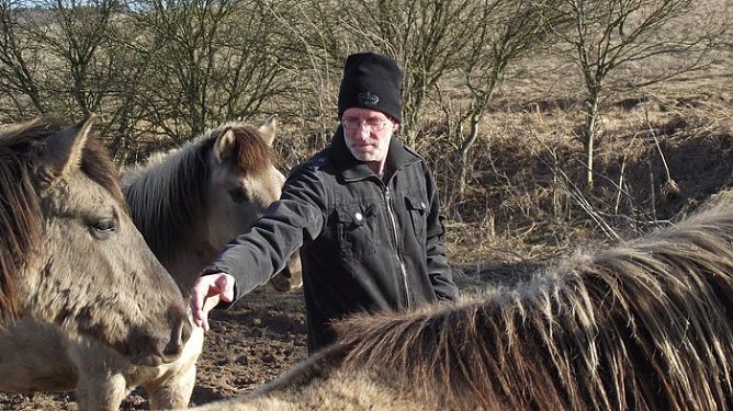 Seltene Pferde (Foto: K. Frank)