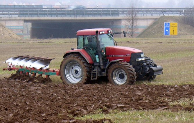 Im M&auml;rzen (Foto: privat)