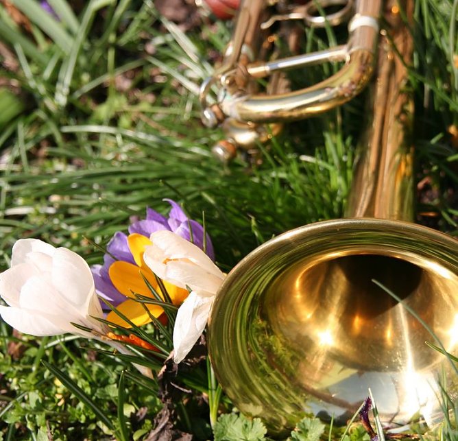 Mit Musik in den Fr&uuml;hling (Foto: S. Spehr)