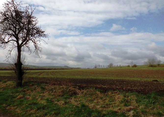 Vom Investor befreit (Foto: privat)