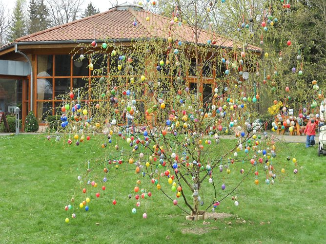 Osterbaum geschmückt (Foto: P. Heydecke) Osterbaum geschmückt (Foto: P. Heydecke)