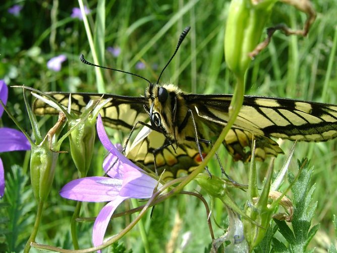 Ausstellung (Foto: M. Liebram)