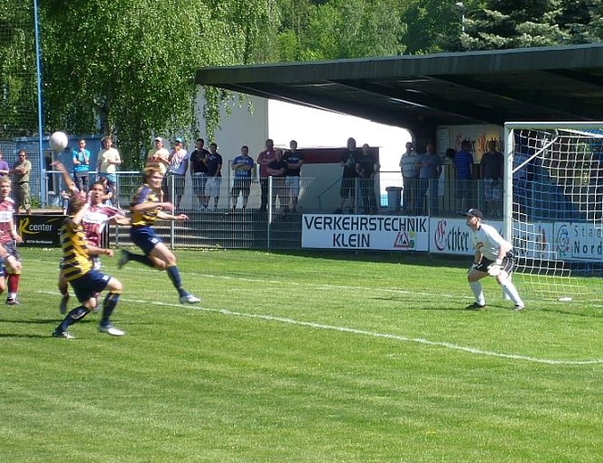 Unbequeme G&auml;ste (Foto: Klaus Verkouter)