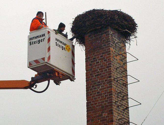 Netz sauber gemacht (Foto: nnz)