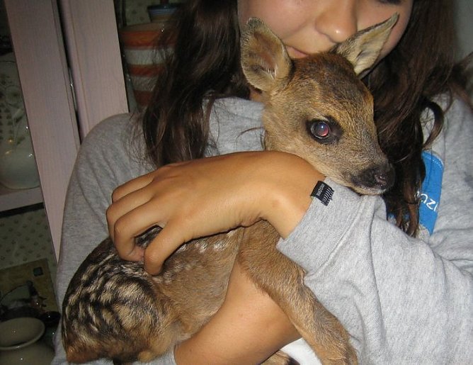 Umsorgt (Foto: privat) Umsorgt (Foto: privat)