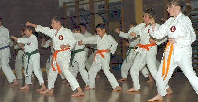 Vorgeführt (Foto: Wiethoff) Vorgeführt (Foto: Wiethoff)