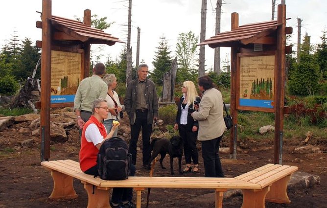 Wald im Wandel (Foto: Knolle) Wald im Wandel (Foto: Knolle)