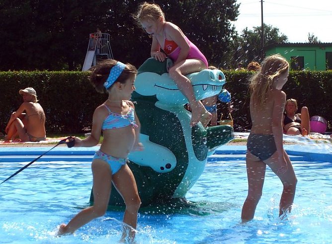 Die vierte Auflage (Foto: privat)