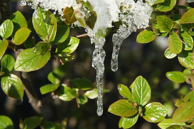 Winter ade! (Foto: Stanislowsky) Winter ade! (Foto: Stanislowsky)