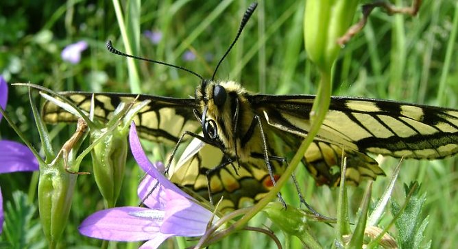 Ausstellung in Ellrich (Foto: privat) Ausstellung in Ellrich (Foto: privat)