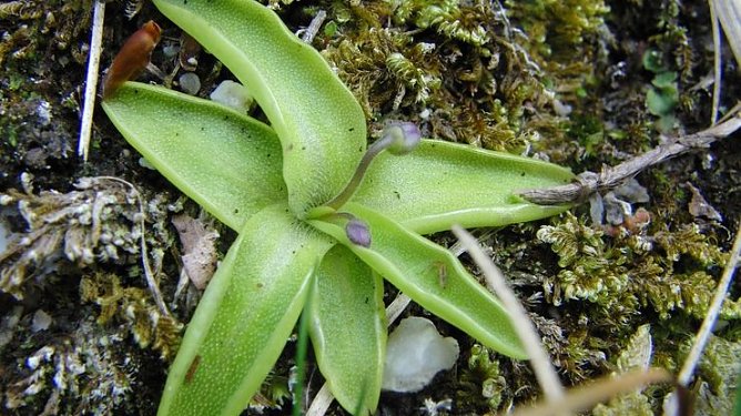 Opfer des Menschen (Foto: B. Schwarzberg) Opfer des Menschen (Foto: B. Schwarzberg)