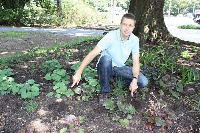 Blumendiebe in Nordhausen (Foto: P. Grabe)