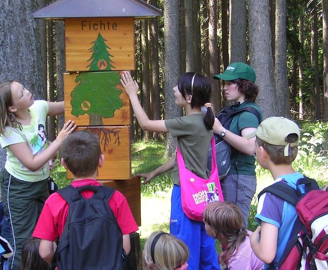 Spannende Ferien im Harz (Foto: Nationalpark Harz)