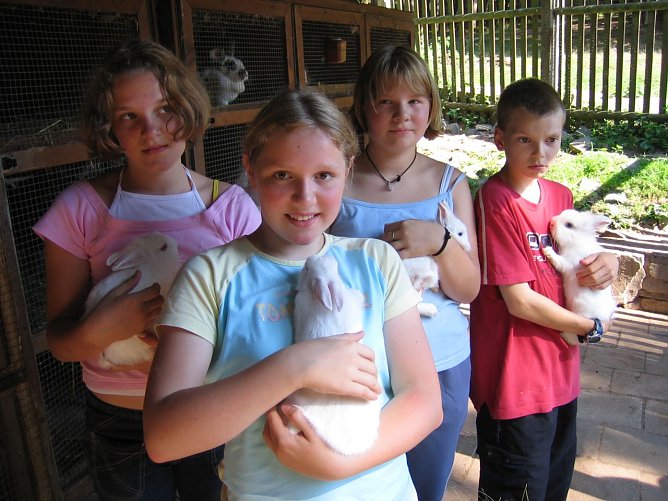 Streicheleinheiten (Foto: slh) Streicheleinheiten (Foto: slh)