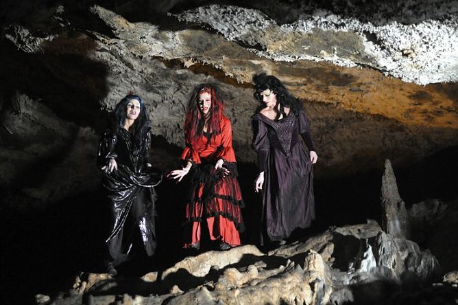 Dracula erwacht (Foto: privat)