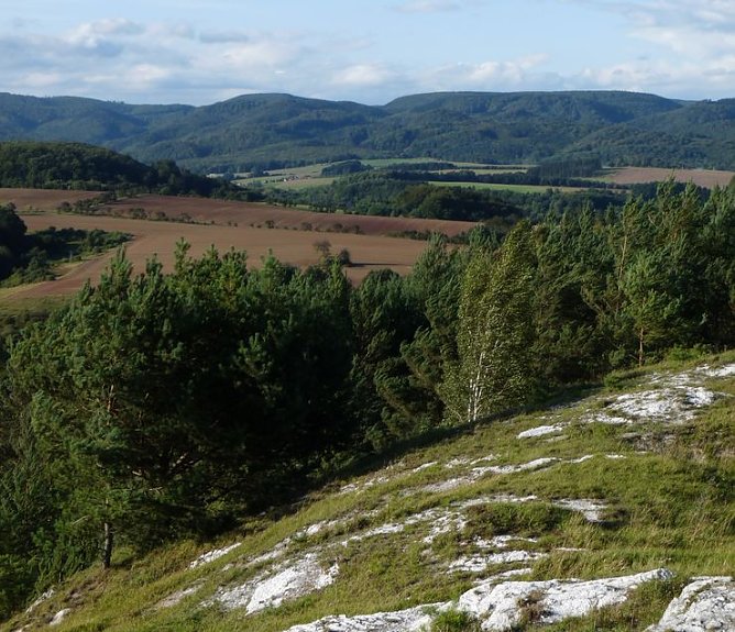Naturpark S&uuml;dharz (Foto: privat)