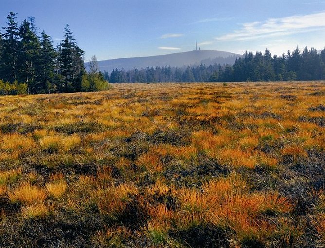 Hochmoore (Foto: A. Maywald)