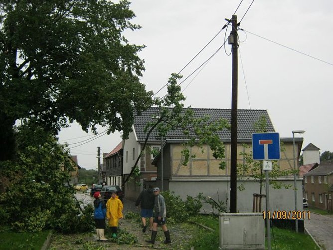 Gl&uuml;ck gehabt (Foto: Nicole Kleemann)