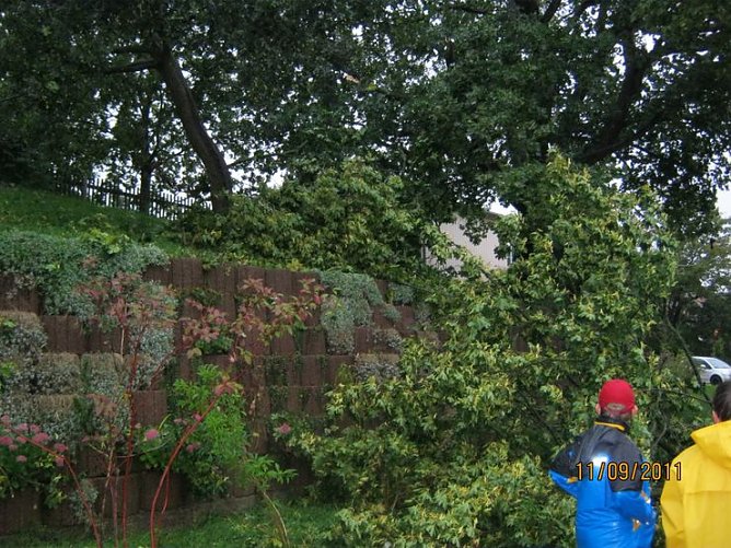 Gl&uuml;ck gehabt (Foto: Nicole Kleemann)