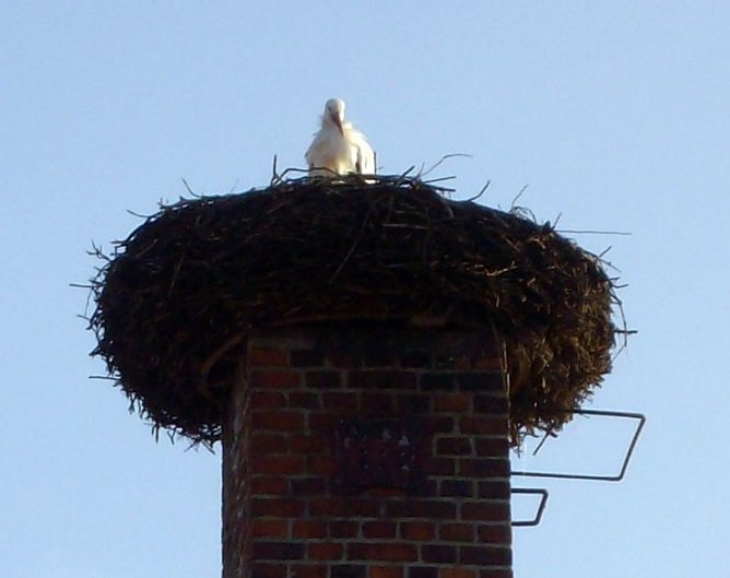 Angekommen (Foto: privat) Angekommen (Foto: privat)