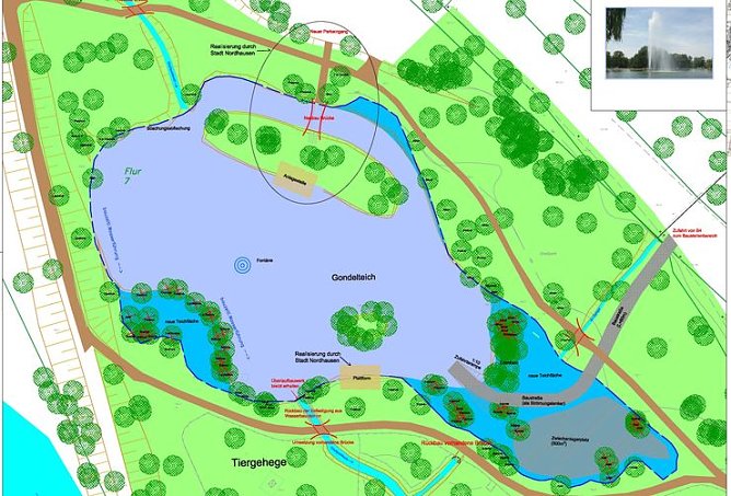 Neuer Gondelteich (Foto: privat)