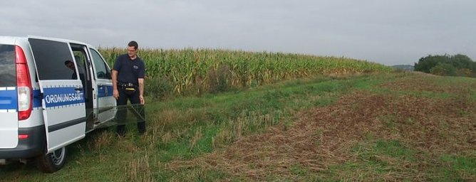 Ausgewildert (Foto: PSV)
