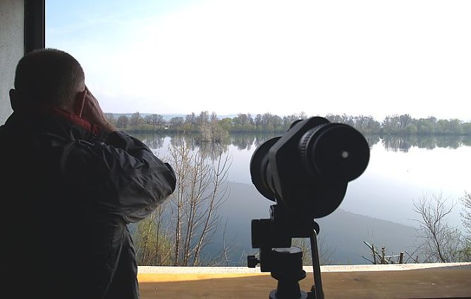 Beobachtungsposten (Foto: nnz)