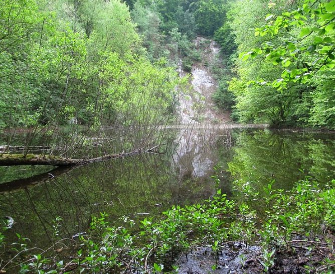 Igelsumpf (Foto: privat)