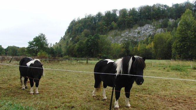 M&uuml;hlberg bei Niedersachswerfen (Foto: privat)