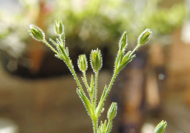 Landschaften pflegen (Foto: B. Schwarzberg)
