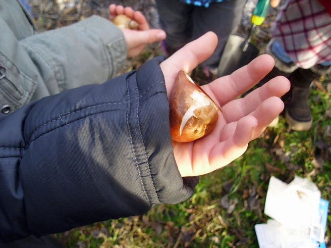 Kita Projekt mit Glückauf (Foto: Thomas Leipold) Kita Projekt mit Glückauf (Foto: Thomas Leipold)