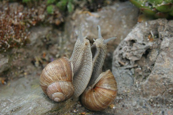 Das ist Liebe! (Foto: Stanislowsky)