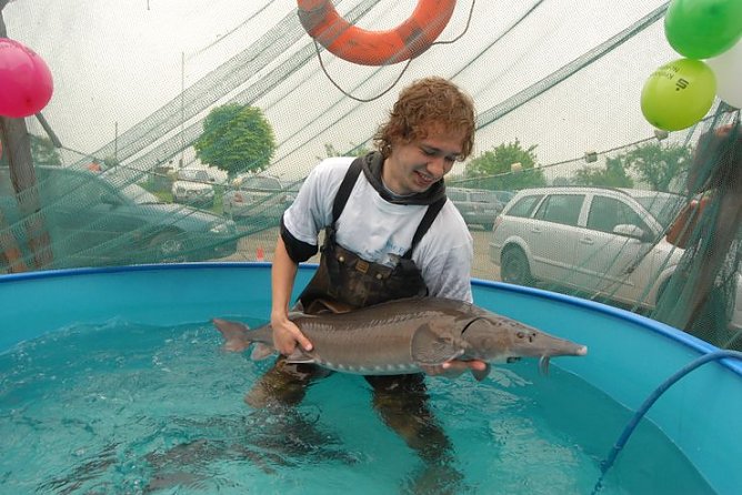 Dicker Fisch (Foto: WH)