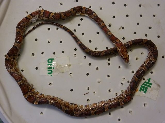 Entsorgt? (Foto: privat) Entsorgt? (Foto: privat)