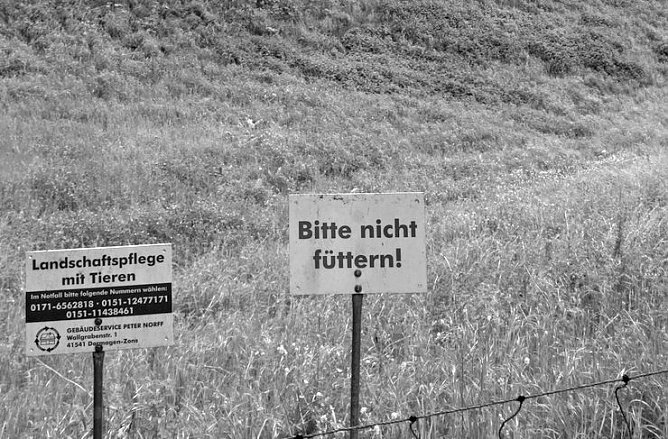 Viel vor in diesem Jahr (Foto: BUND)