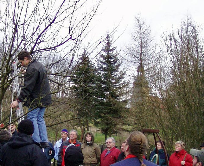 Baumschnittseminar (Foto: Kunsthof Friedrichsrode)