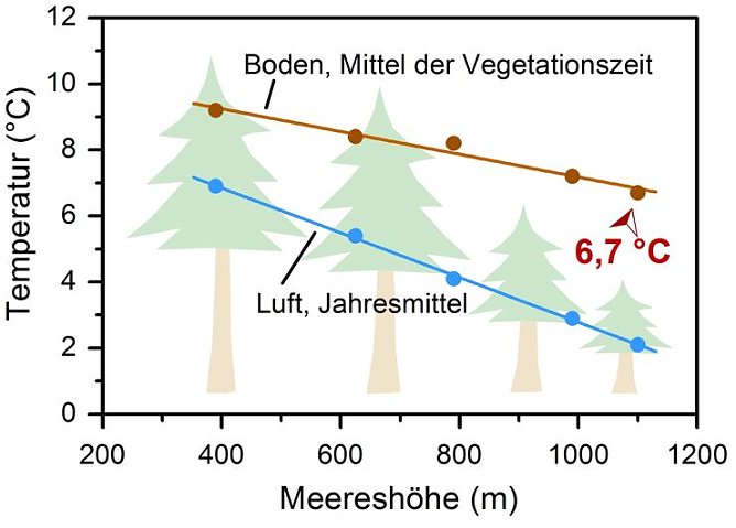 Grafik (Foto: privat)