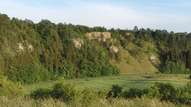 Die Pflanze von nebenan (Foto: B. Schwarzberg)