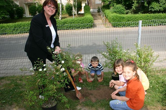 Natur (Foto: KSK) Natur (Foto: KSK)