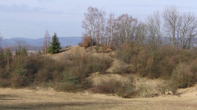 Landschaften pflegen (Foto: B. Schwarzberg)