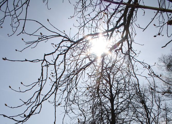 sonne (Foto: helios klinik)