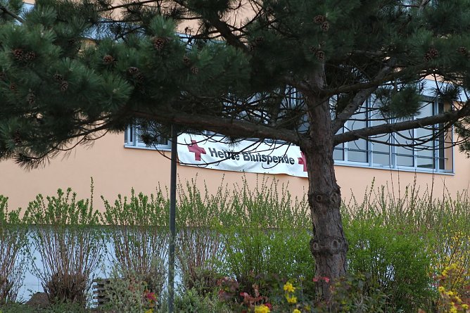 Blutspender geehrt (Foto: nnz)