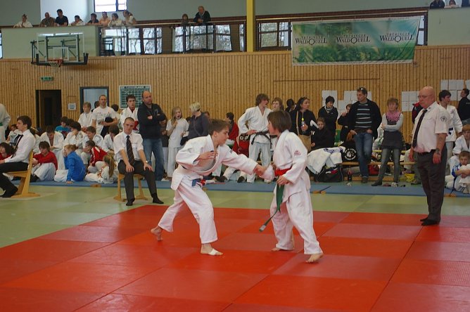 Erfolgreiche Judokas (Foto: privat)